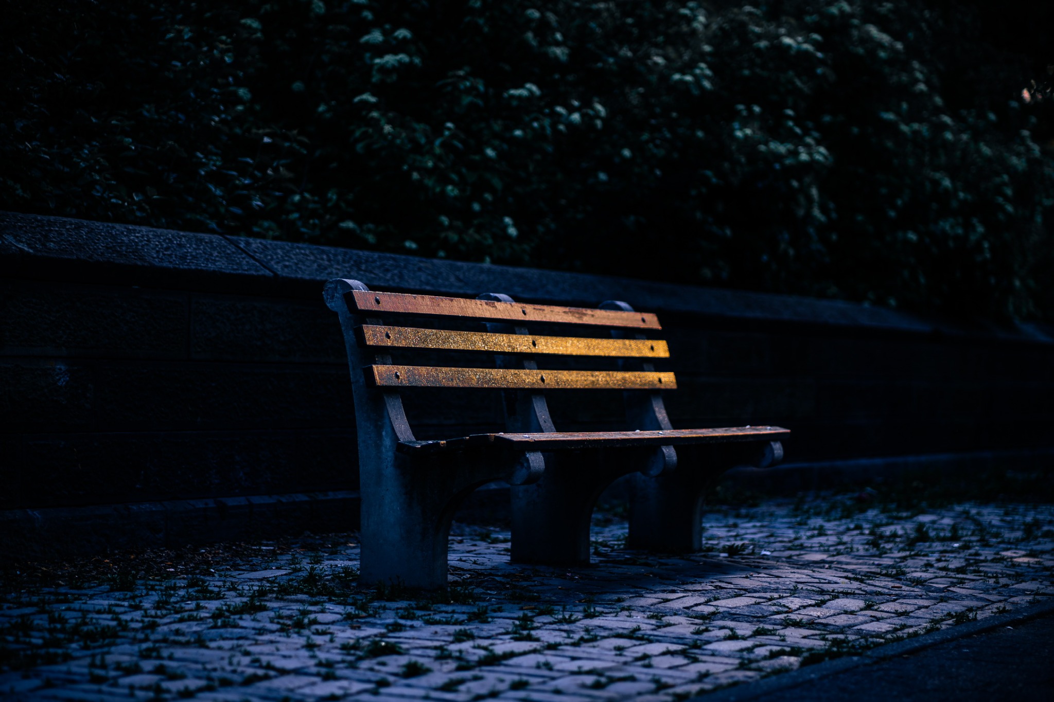 An empty wooden bench under dark blue night lighting